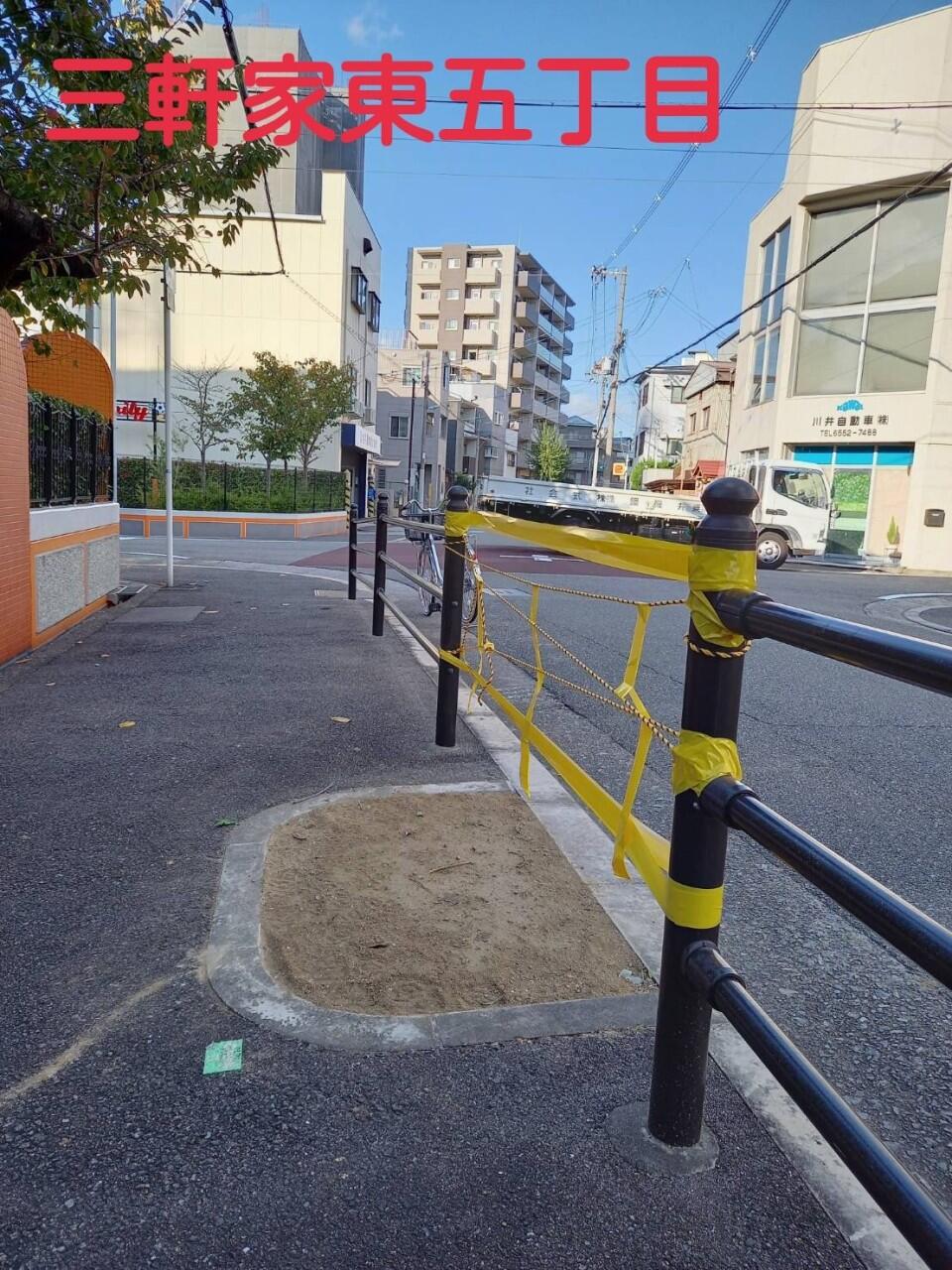 「通学路の危険な樹木撤去」
