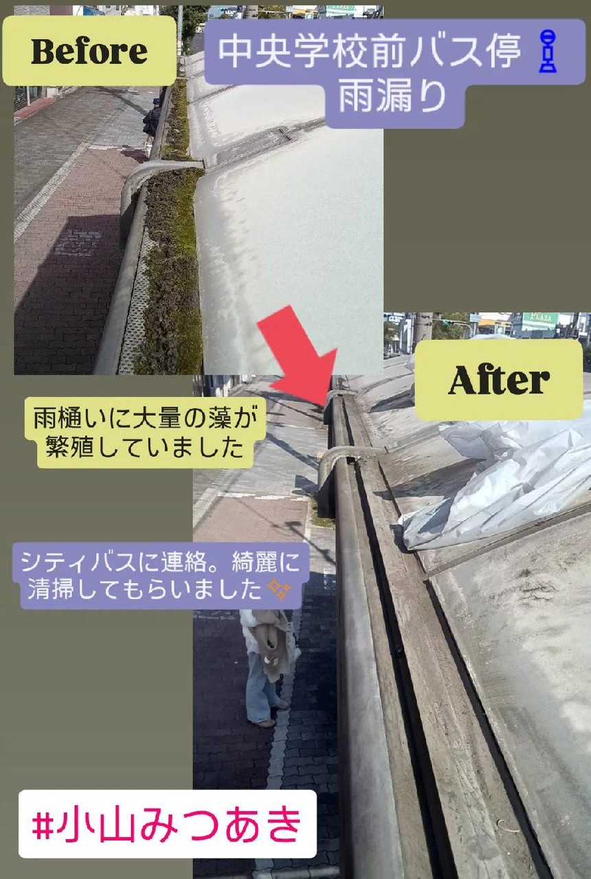 雨漏りしないよう対応