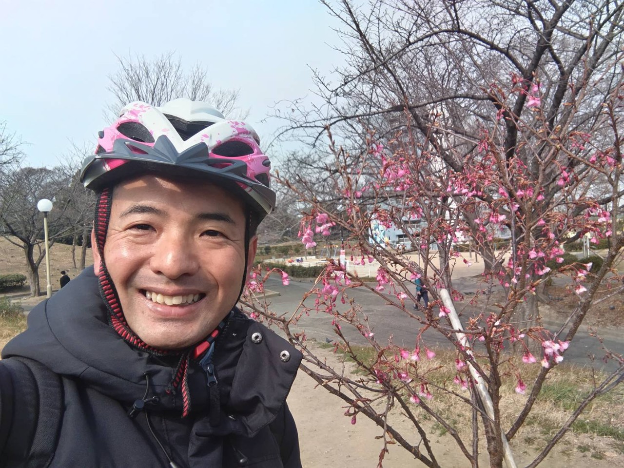 千島公園の寒緋桜