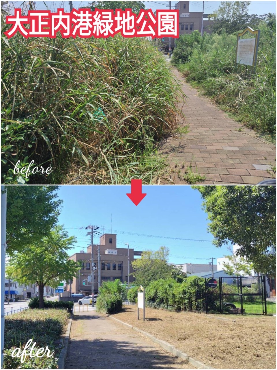 ご相談を受けていた雑草の除草が終わりました！