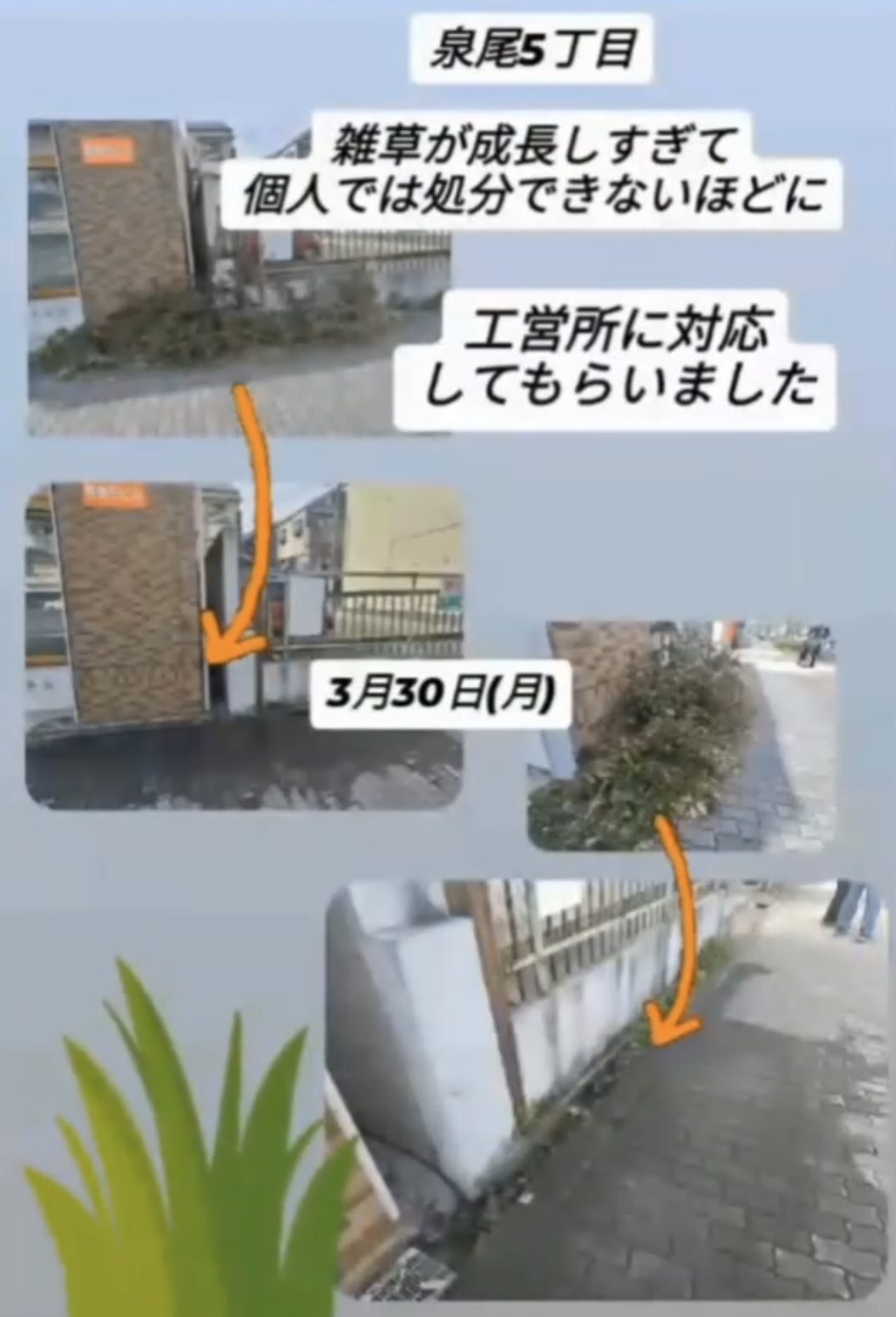 泉尾5丁目 雑草の剪定